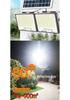 2026 Solar Lamp: LED Waterproof Light for Outdoor/Indoor Courtyard & Main Entrance