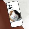 Süße Tiere Meerschweinchen Hülle Für Xiaomi Redmi Note 12 Pro 8 9 10 11 Pro 9S 10S 11S 12S Redmi 12 9C 10C 12C Abdeckung