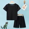 2-Piece Children's Summer Quick Drying Sports Suit for Boys and Girls, Handsome Dinosaur Print Short-Sleeved Top