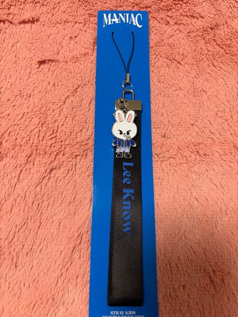 [USED] StrayKids Penlight Ver.1 with Levit cover and strap