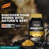 Himalaya Shilajit Gold Kapseln 100% Reines Himalaya Shilajit + 24K Gold, 20 Stück, Steigert Vitalität & Ausdauer