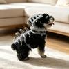 Funny Dinosaur Skeleton Pet Costume Hood Plush Dog Headgear Halloween Cosplay Hat Cute Photo Prop for Small Medium Dogs