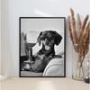 Funny Animal Collies Drinking Champagne Minimalist Animal Portraits Poster Canvas Paintings Wall Art Pictures Home Decor