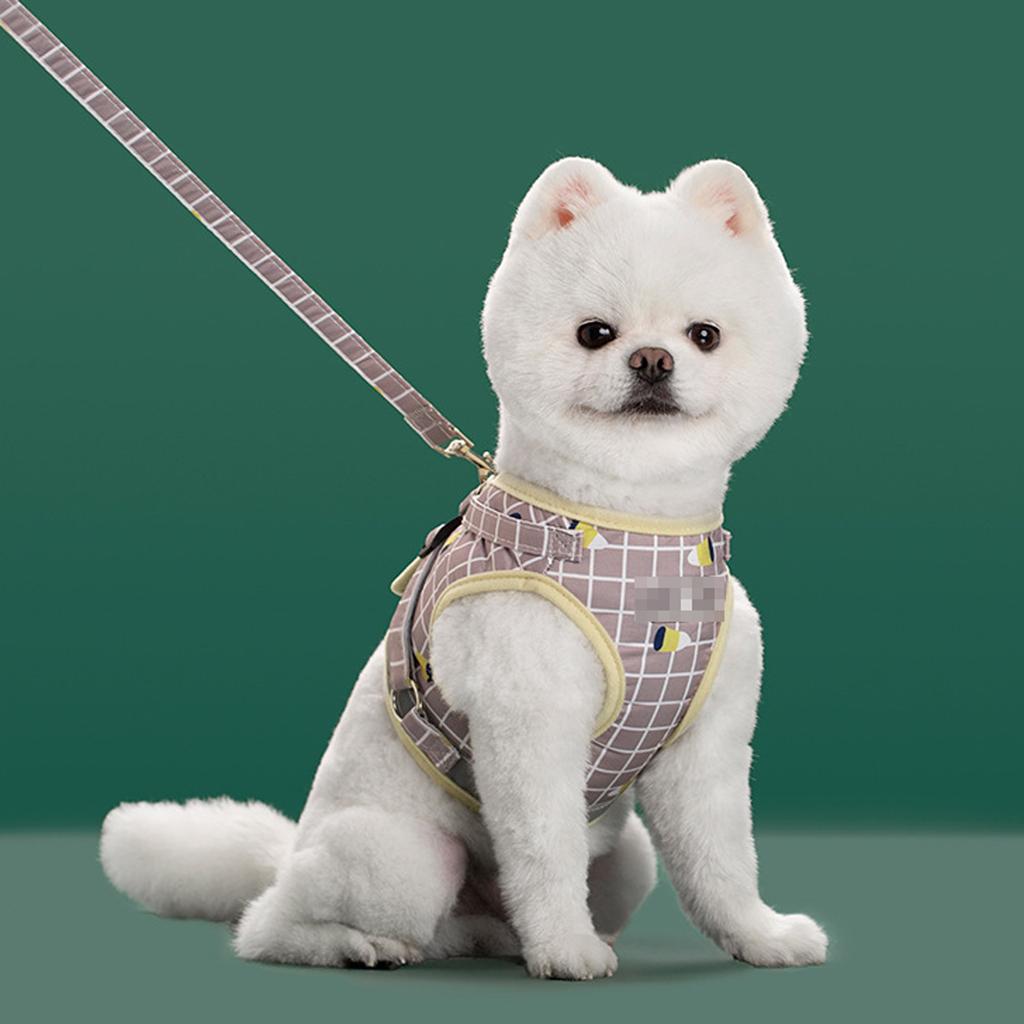 Nylon Mesh  Puppy Reflective Dogs  And Leash Set Dogs Vest  Leads Pet Clothes For Small Dogs
