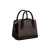Coach Andrea 15 Logo Dorato Monogramma Classico Tela Rivestita E Pelle Liscia Borsa Tote Borsa Shopping Borsa a Spalla Tracolla Mini CO975-IMAA8