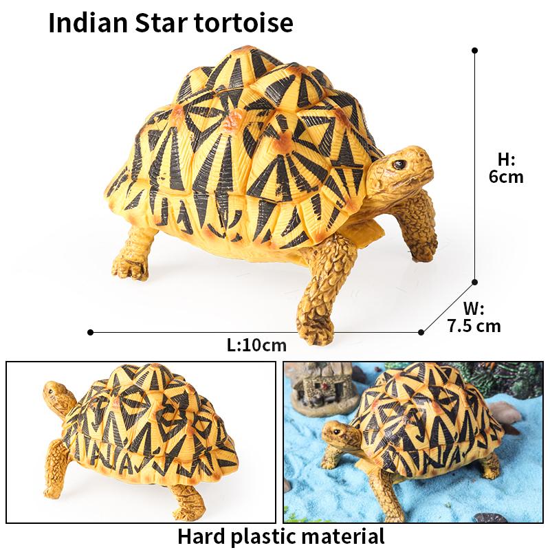 Oenux Sea Life Animals Model Leatherback Tortoise Turtle Growth Cycle Ocean Figurines Action Figures PVC Collection Kid Toy Gift