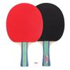 DHS Table Tennis Racket Set (2 Rackets + 1 Ball)