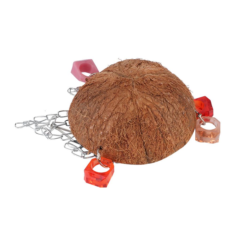 Pet Birds Toy Squirrel Coconut Shell Hanging Basket Sling with Acrylic Rings Pets Accessories For Parrot Hammock Birds