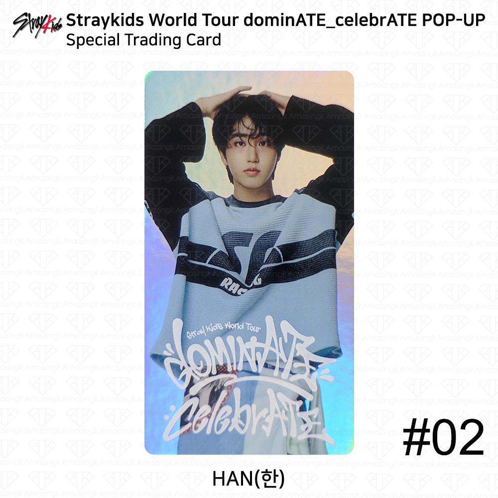 

Stray Kids Мировой тур DominATE CelebrATE POP-UP Специальная торговая карта KPOP K-POP Han #2