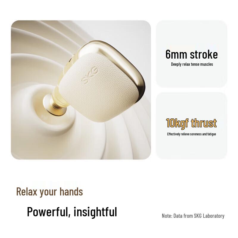 SKG F3 Mini Portable Muscle Massager CN plug (adapter included)