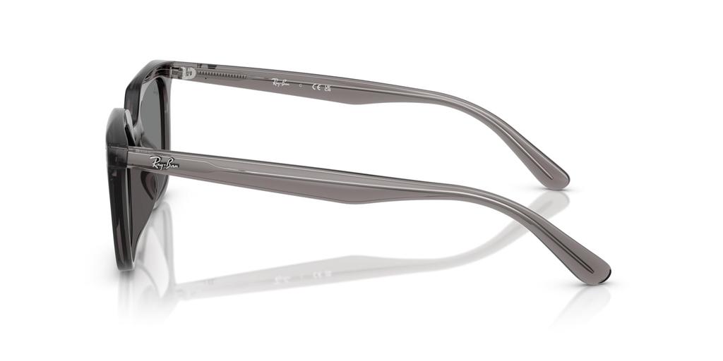 Sunglasses 0RB4439D 54 667587 Asian Fit [Ray-Ban]