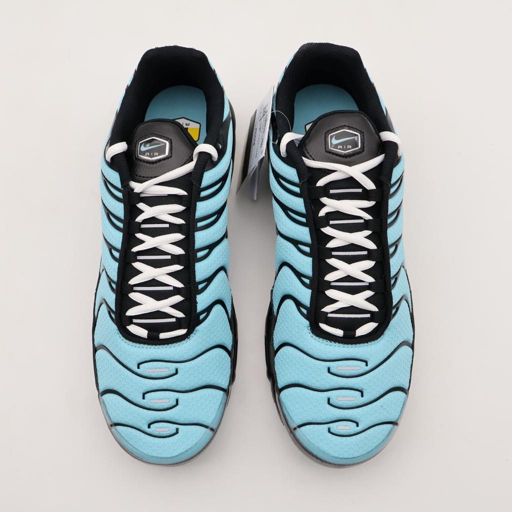 CV8838-400 Nike Air Max Plus Aqua Black White Metallic Silver (Men's)