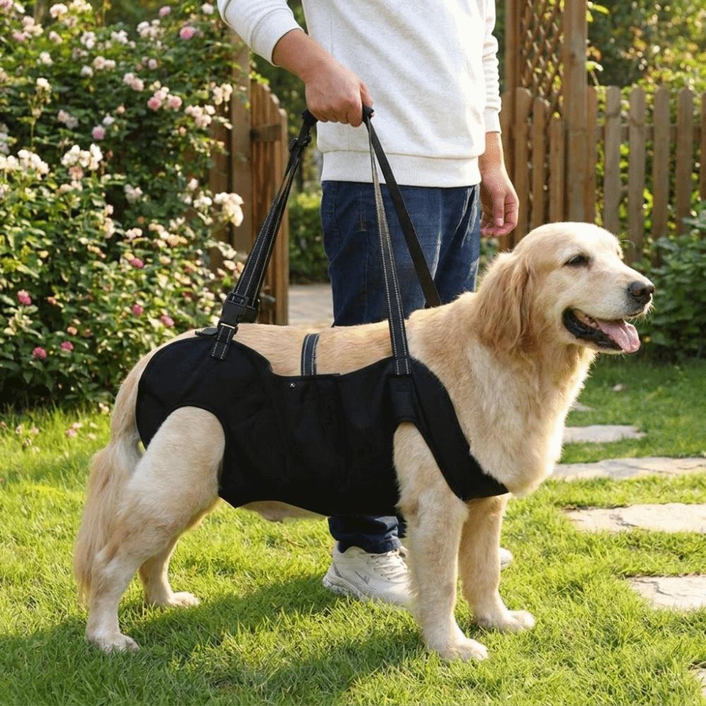 Thickened Grip Dog Lift Harness Adjustable Pet Auxiliary Vest Dog Assistance Strap  Disability Aid