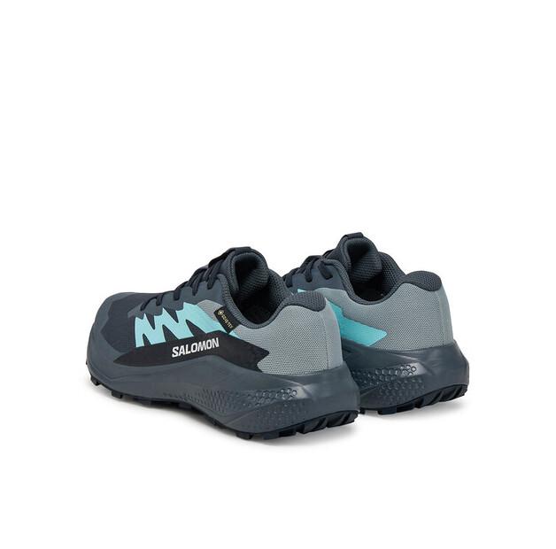 Salomon Alphaglide Gore-Tex Running Shoes
