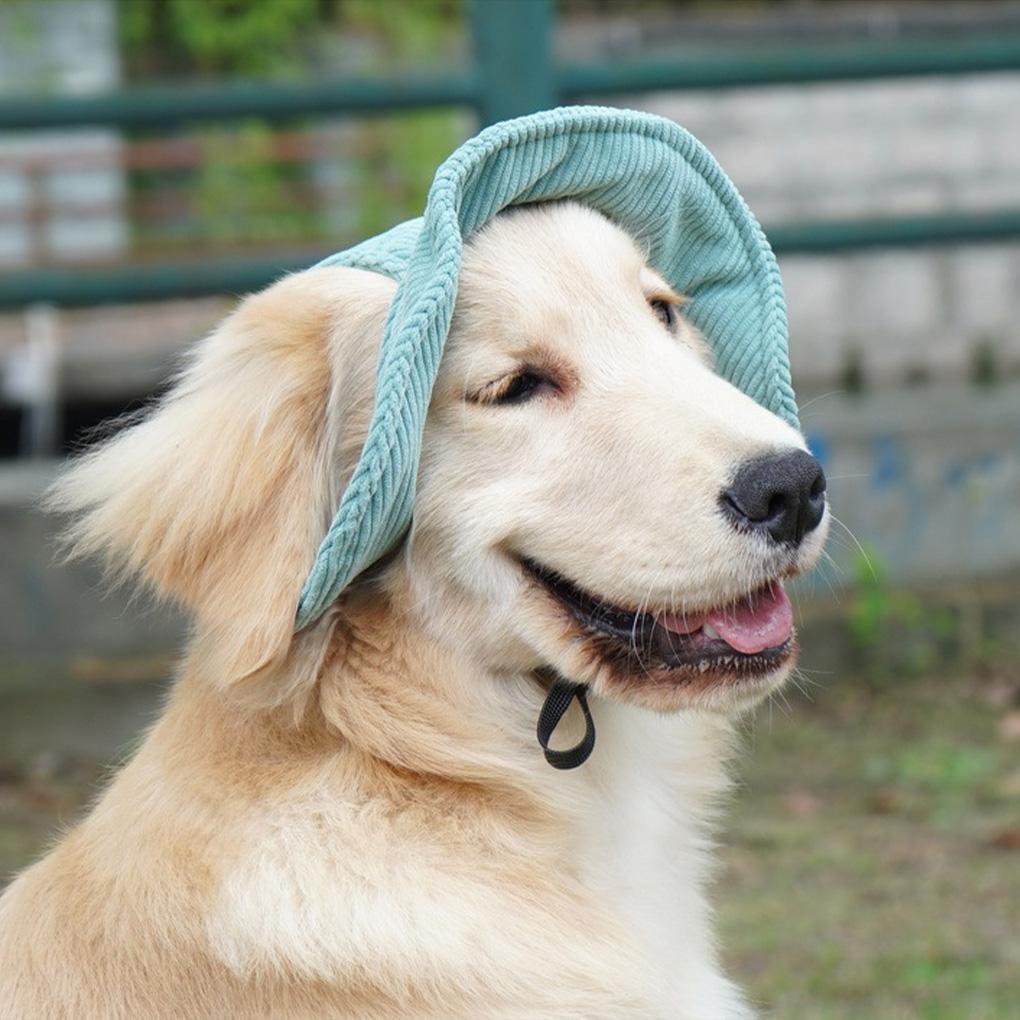 Pooch With Dog Sun Hats Stylish Accessories For Summer Days Dog Hats Summer Kids Beach Hats Dog Cabi