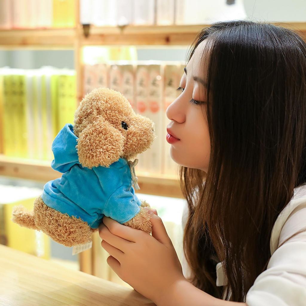 20cm Plush Toy Poodle with Detachable Hoodie, Sitting Position, Fluffy, Puppy, Body Pillow, Teddy Bear Dog, Teddy Poodle, Plush Toy, PP Cotton