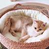 Four Seasons Cat Bed Woven Removable Upholstery Sleeping House Cat Scratch Floor Rattan Washable Cats Pet Products Accessories