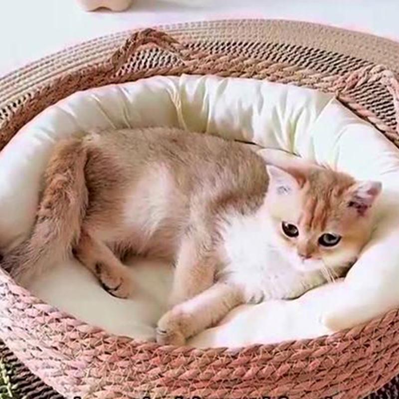 Four Seasons Cat Bed Woven Removable Upholstery Sleeping House Cat Scratch Floor Rattan Washable Cats Pet Products Accessories