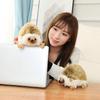 GaiBoSiLifelike Hedgehog Plush Toy 20CM Stuffed Animals Simulation Hedgehog Soft Doll Kids Toys Birthday Christmas Gift for Children