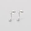 Elegant Back Hanging Small Diamond Stud Earrings For Women Exquisite Niche Temperament Jewelry