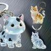 Niedliche Katze Haaraufbewahrung Schlüsselanhänger Tasche Anhänger Transparent Haustierfell Andenken Kapsel Souvenir Sammlung Geschenk Dekoration Zubehör