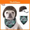 Adorável Peruca de Animal de Estimação com Franja Para Cães e Gatos em Opções Coloridas Vibrantes Para Festas