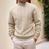 Herre Turtleneck Sweater Flettet Strikket Pullover Sweater Afslappet Ensfarvet Basislag Top til Gadebrug Arbejde Date Daglig Brug