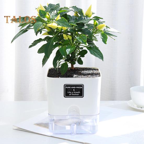 Self Watering Plant Pot with Drainage Holes High Strength Reusable Easy Care Visible Reservoir Indoor Outdoor Planter Pot Flower Vase