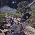 

CD BETA BAND - The Beta Band TOCP65217 EMI 1999 Japan ObiDance & Electronica Used