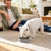 Pet Slow Feeder Bowl for Dogs and Cats, Interactive Puzzle Feeding Bowl to Help Slower Eating