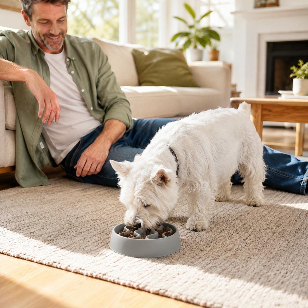 Pet Slow Feeder Bowl for Dogs and Cats, Interactive Puzzle Feeding Bowl to Help Slower Eating