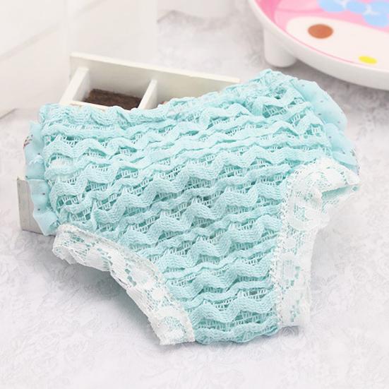 Pet Hygiene Pants Print Pet Supplies Lace Dogs Physiological Menstrual Hygiene Pants for Estrus Pet