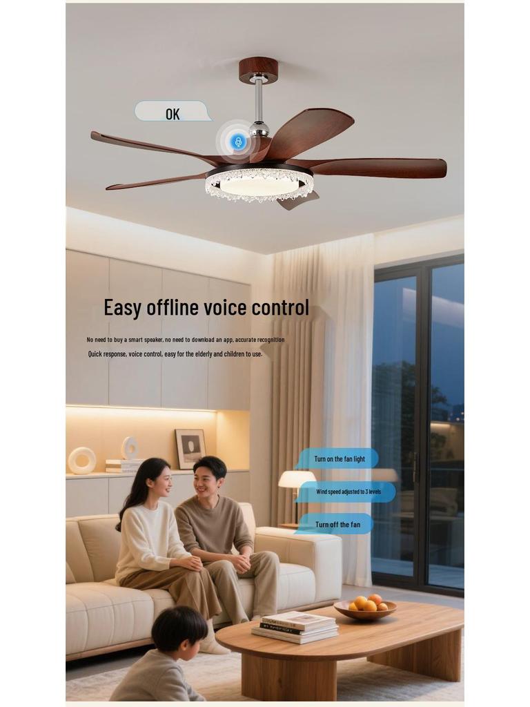 Nordic Retro Inverter Ceiling Fan Light 2025 for Living Room, Bedroom, Restaurant - Chinese Style