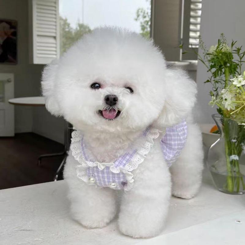 

Pet cat dog clothes princess new small dog Schnauzer teddy small dog spring and summer lace skirt XL chest 50 back 40 about 10-6.5 kg