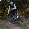 SCHWALBE Wicked Will MTB Tire [Genuine Product] 29x2.60
