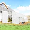 Tunnel Greenhouse, 18 m2, Door, 12 Windows with Mosquito Nets, 295 x 597 x 200 cm, White