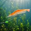 Soft Bait Shrimp Lure 9cm 6g Fishing Lure with Hook Bionic Shrimp Imitation Soft Bait Glow for Predator Fish Fishing