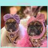 Ropa y calzado – Accesorios para perros