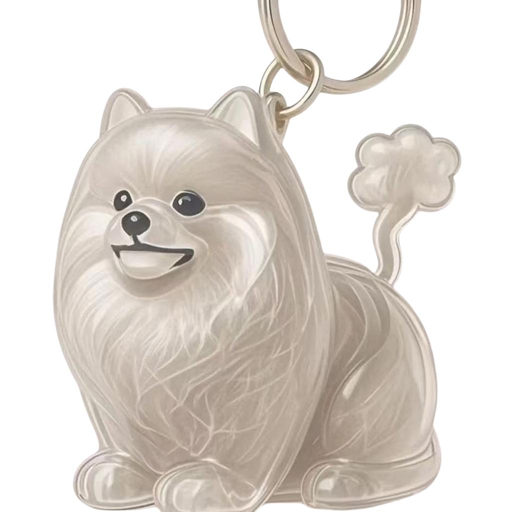 Clear Pet Hair Memorial Keepsakes Pendant Charm Portable Dog Shape Furs Collector Keychain For Key Or Bag Attachments