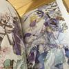 [USED] Sunrise Little Sun Illustration Collection (Chinese version) with bonus