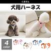 FUPUONE Dog Bear Small Dog Harness, Design, Leash, (Ivory, L)