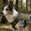 Tactical Dog Harness Collar Leash Set Dog Vest with Molle System & Handle Adjustable for Medium Large Dogs Outdoor Training