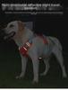 Retractable Dog Vest and Collar with Harness