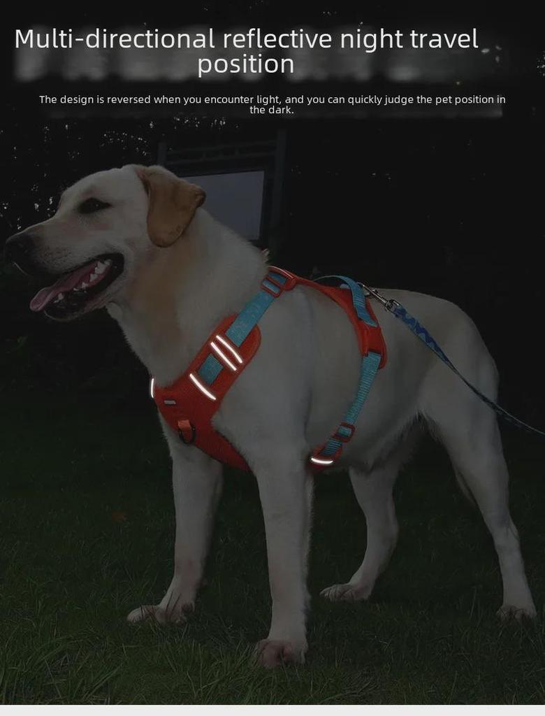 Retractable Dog Vest and Collar with Harness