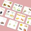 Wooden Educational Puzzle: Life Cycle Changes of Plants & Animals – Toddler Cognitive Growth Toy