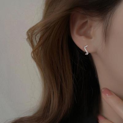 Zircon Earrings Niche Design Sense High-end