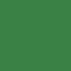 Apli 14246 - Carton de couleur vert foncé Format A4 180gr. 210x297mm