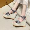 Fashion 2025 New Ladies Shoes Open Toe Women's Sandals Fashion Printing Casual Sandals Women Summer Plus Size Best Seller Wedge Sandals