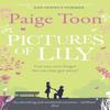 Pictures of Lily by Paige Toon Paperback Book 9781471129599