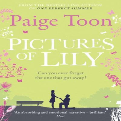 Pictures of Lily by Paige Toon Paperback Book 9781471129599